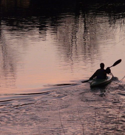 kayaker, kayak, paddle-3941.jpg